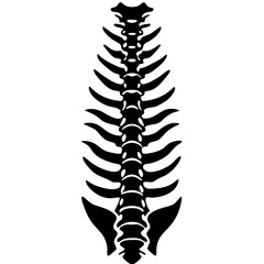 Spine Silhouette Vector