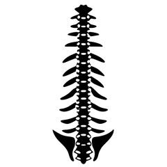 Spine Silhouette Vector