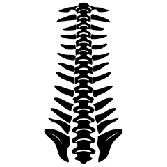 Spine Silhouette Vector