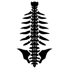 Spine Silhouette Vector
