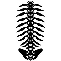 Spine Silhouette Vector