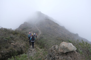 Obraz premium Group of trekking people in mountains on foggy day to summit of Little Meru in Tanzania. National Park Arusha
