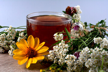 Cup of herbal tea with wild flowers and various herbs