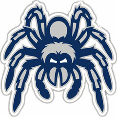 Fototapeta premium a menacing spider in a badge-style design, radiating an eerie charm