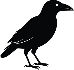 Fototapeta premium Black and white crow silhouette, ideal for logos, branding, and wildlife-themed digital art.