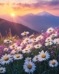 Obraz premium Wildflower Meadow at Sunset, Scenic Nature Landscape with Blooming Daisies and Mountain View