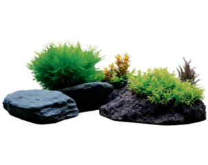 Captivating aquascape arrangement featuring artificial plants and natural rocks, ideal for adding a touch of serene beauty to any aquarium setting or decorative display