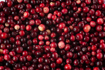 Cranberry. Small forest red berry. A scattering of cranberries. Vitamins from nature