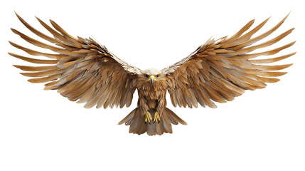 Obraz premium Majestic eagle soaring with wings spread on white background