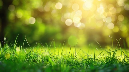 Obraz premium A lush green field with a bright sun shining down blur background