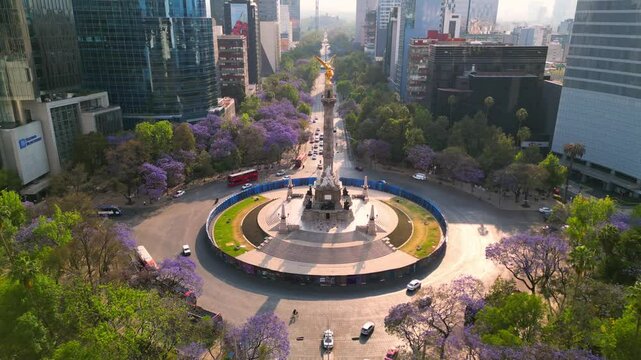 Mexico city Angel de la independencia landmark in downtown, spring with purple flowers jacarandas in paseo de la reforma av