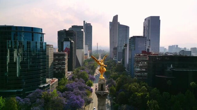 Mexico city Angel de la independencia landmark in downtown, spring with purple flowers jacarandas in paseo de la reforma av