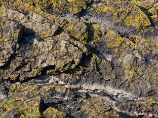 Texture of the rock, surface of the rock, sea rock 