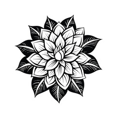 black and white flower