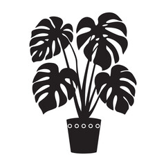 Monstera deliciosa plant in pot silhouette vector Black, potted plant vector silhouette vector. with white background