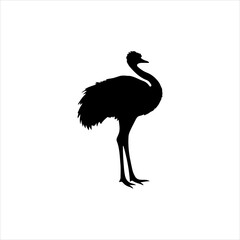 Obraz premium ostrich silhouette icon vector flat design.