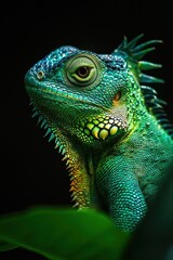Obraz premium Colorful Lizard with Detailed Texture Posing on Leaf Against Dark Background