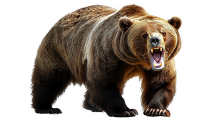 Powerful Grizzly Bear Portrait