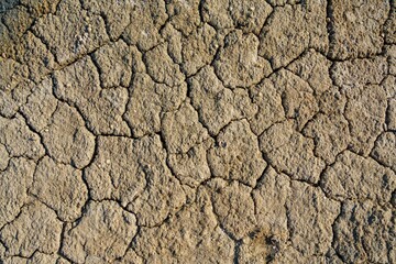 The image features cracked, dry mudflats illuminated by the afternoon sun, showcasing intricate patterns and a rough, textured surface in light brown tones, revealing nature s stark beauty.