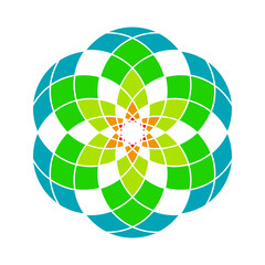 Obraz premium flower Geometri art vector Design