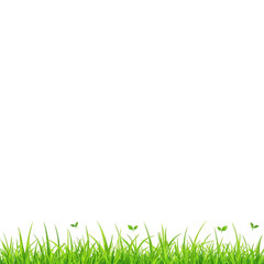 A vibrant border of green grass with small butterflies creates lively and natural frame, perfect for adding touch of nature to any design. fresh and lush appearance of grass adds sense of growth and
