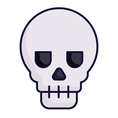 skull and crossbones. human skull vector. human skull vector illustration