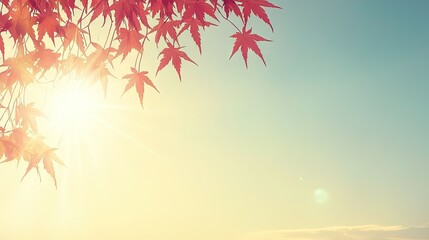 Autumn leaves in sunlight, a tranquil landscape, possible use for nature photography