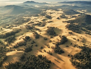Aerial view of golden hills and scattered trees.