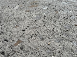 swamp mud, black earth, background texture