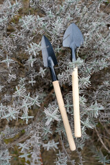 Small garden tools on a lavender bush background. Garden maintenance. Top view. Selective focus.