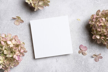 Blank square invitation or flyer paper card mockup with copy space for card design, top view with dried hydrangea flowers decor