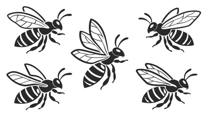 Set of bee