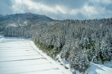 Winterlicher Wald mit verschneiten Bäumen und Feldern