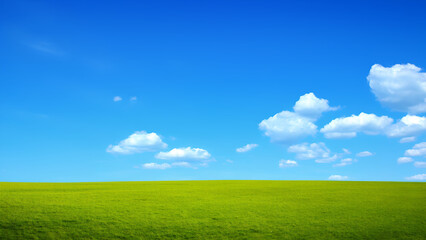Fototapeta premium blue sky with white cloud and grass background