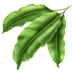 Lush Green Leaves Displaying Natural Texture and Vibrancy Against a Soft Background