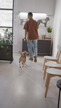 Vertical shot of young man sitting in veterinary clinic waiting area, then leading beagle dog on leash to examination room after being invited by female veterinarian