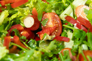 Macro view of green organic salad. Close up view