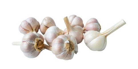 garlic on white