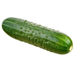Fresh cucumber isolated on white background, showcasing its texture and color