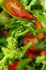 Macro view of green organic salad. Close up view