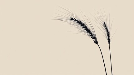 Obraz premium Minimalist Single Wheat Stalk Art - Elegant and Clean Botanical Concept
