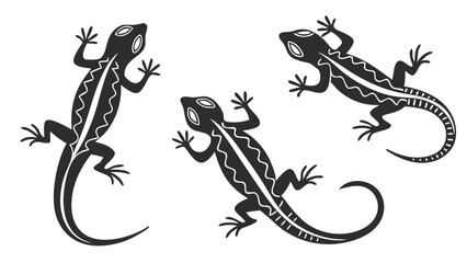 Set of lizard