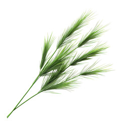 Fototapeta premium Close-up of vibrant green grass stems arranged gracefully against a plain backdrop