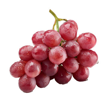 Fresh ruby roman grapes with water drops on transparent background
