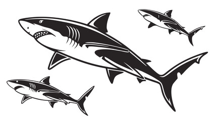 Set of shark