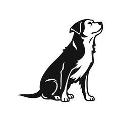 Detailed image of a dog with an expressive look. Suitable for branding, logos and design. Dog logo, pet emblem, dog illustration, dog portrait, guard dog