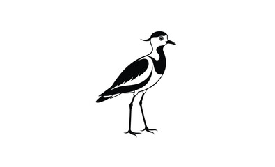Lapwing bird side view silhouette, Lapwing silhouette vector illustration 