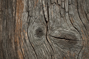Obraz premium A detailed close-up of a natural wood texture with prominent grains and knots, showcasing raw beauty and organic patterns. Perfect for backgrounds or texture projects