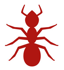 Red Cartoon Ant On White Background 
