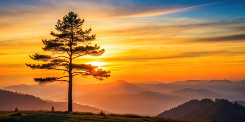 Obraz premium Serene Sunset Silhouette of a Lone Tree on a Hilltop Overlooking Misty Mountains
